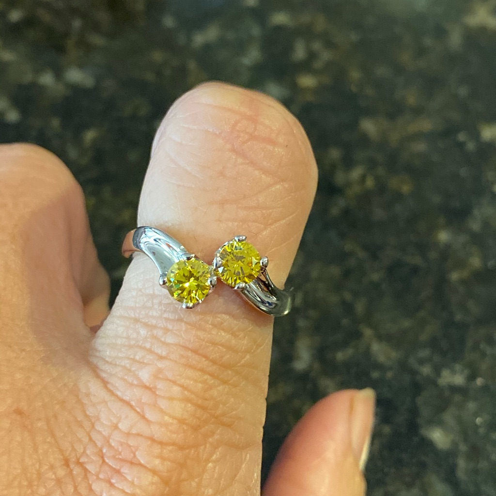 Silver Ring Nwt